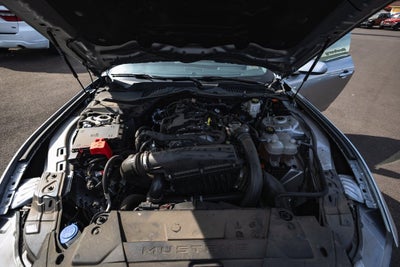2024 Ford Mustang EcoBoost Premium Fastback